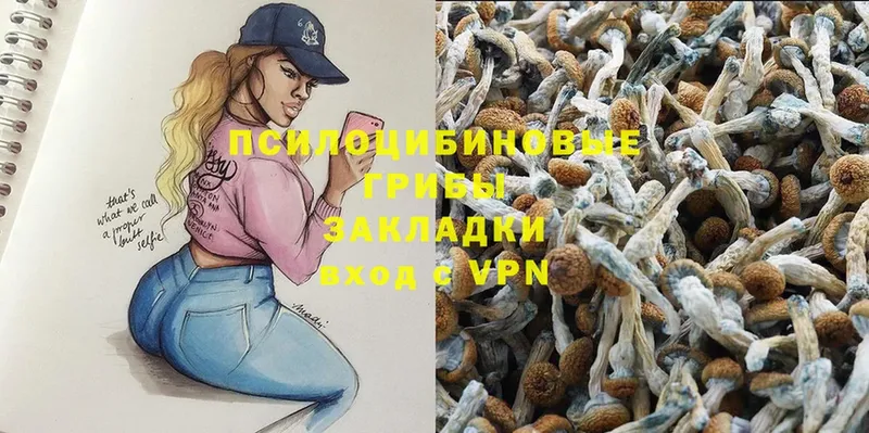 Псилоцибиновые грибы Psilocybe Катайск